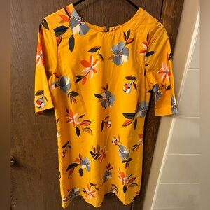 Abercrombie Shift Dress